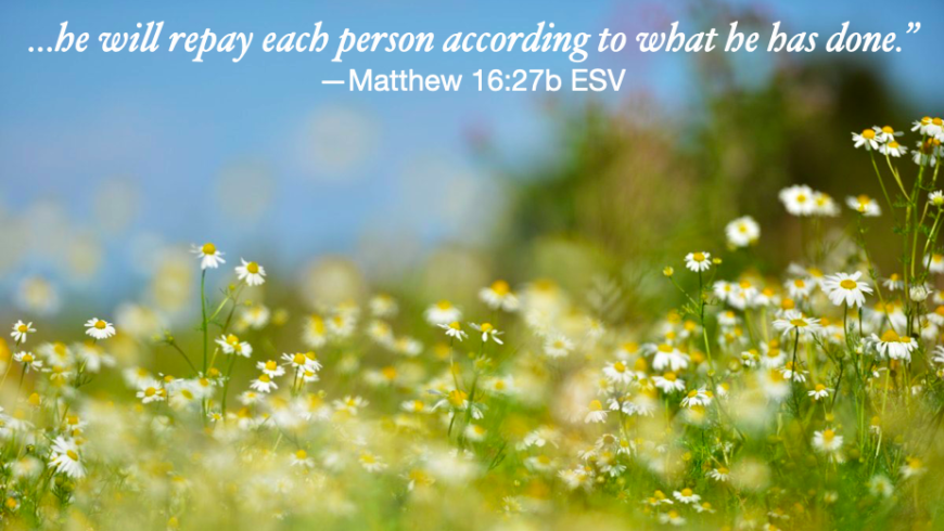 What you sow