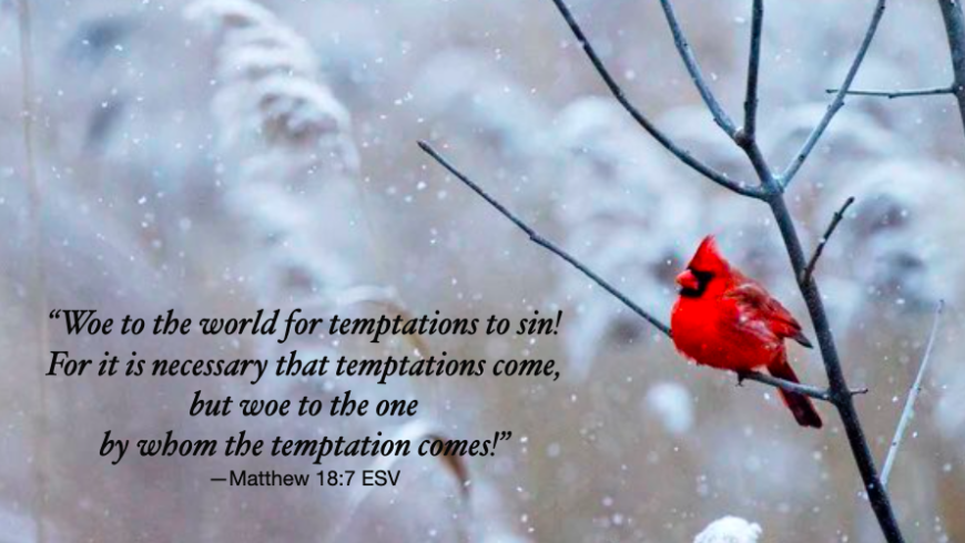 Rely on God’s strength
