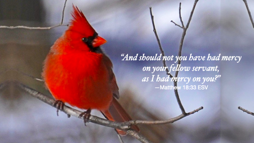 Forgiveness frees