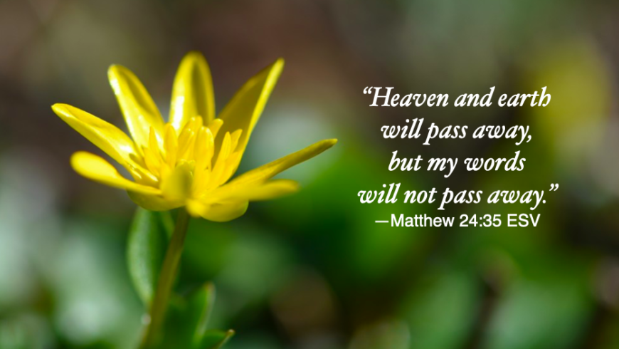 His Word stands