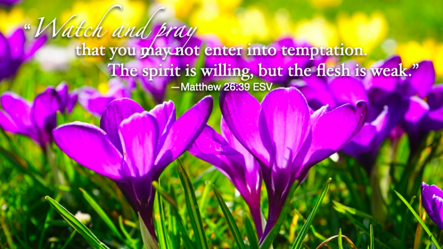 Hymn day: “We Will Work and Pray”