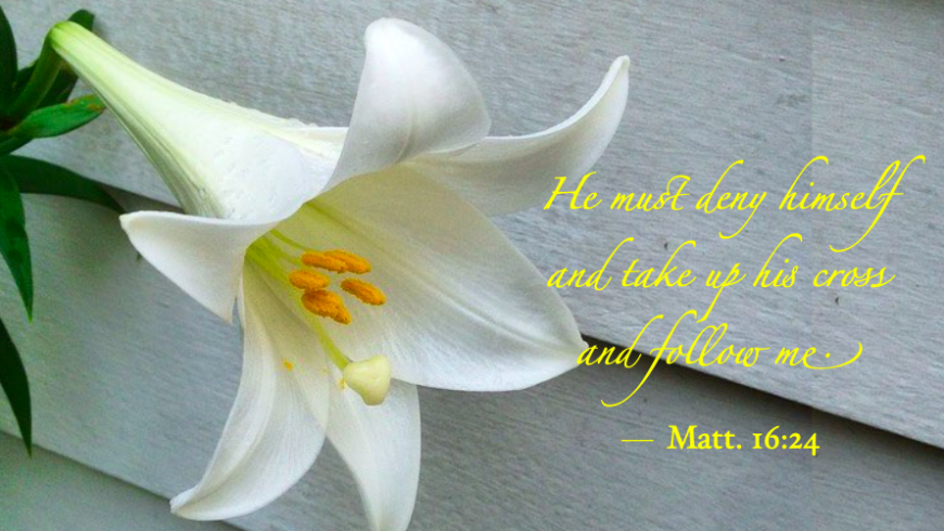 “The Way of the Cross Leads Home”