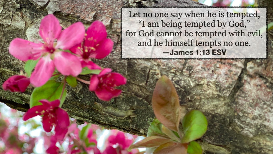 Joy and fulfillment