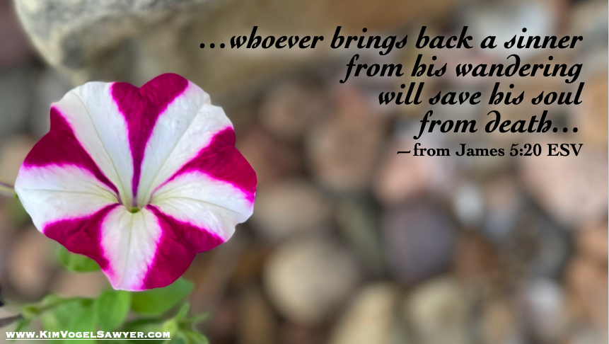 Never stop hoping, trusting, or praying