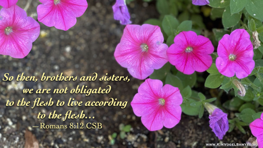 Hymn day: “Redeemed, How I Love to Proclaim It!”