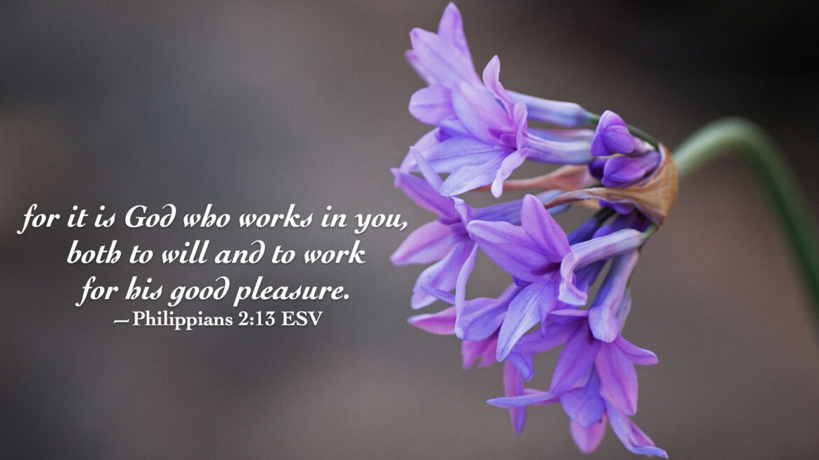He works in me