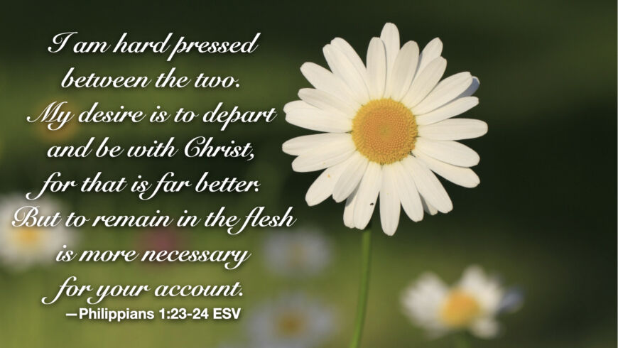 Proclaim His name