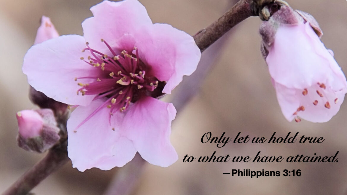Cling to the One