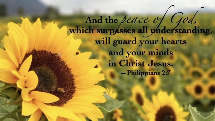 His glory and grace
