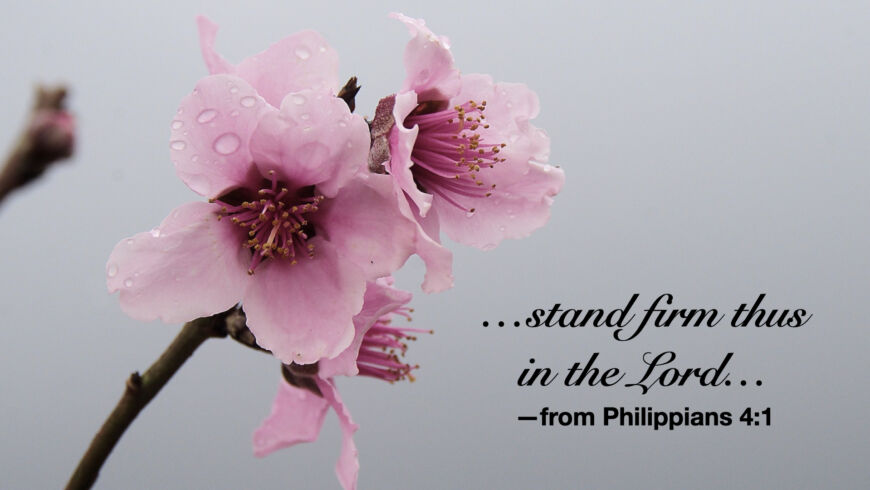 Stand firm