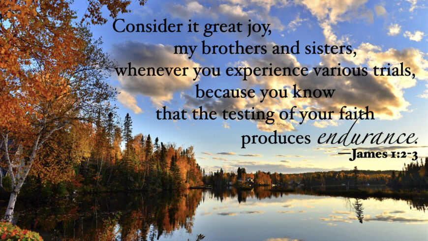 Find joy