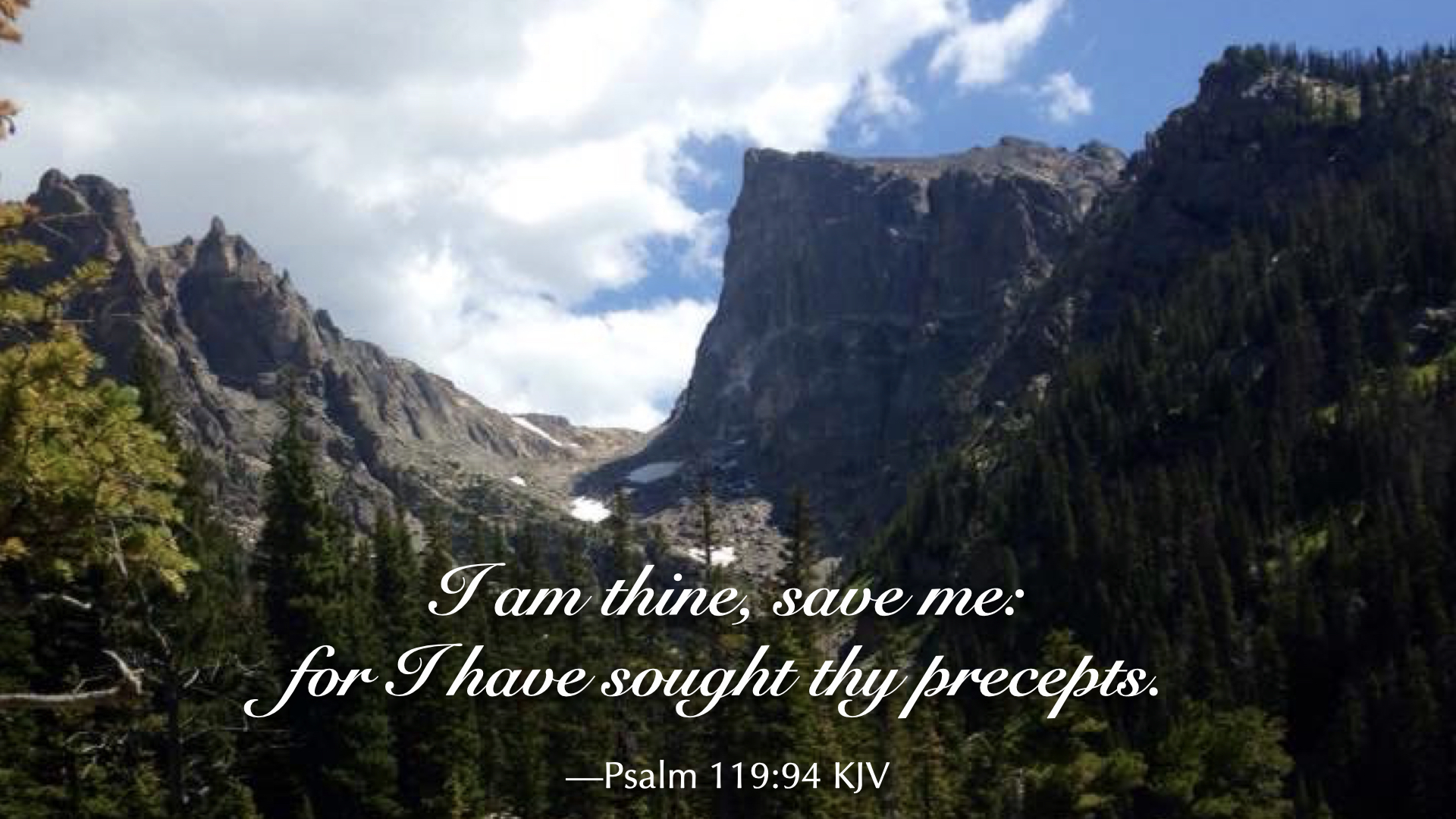 The power of God’s Word – Author Kim Vogel Sawyer