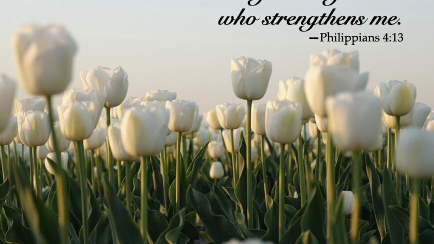 A constant infusion of strength