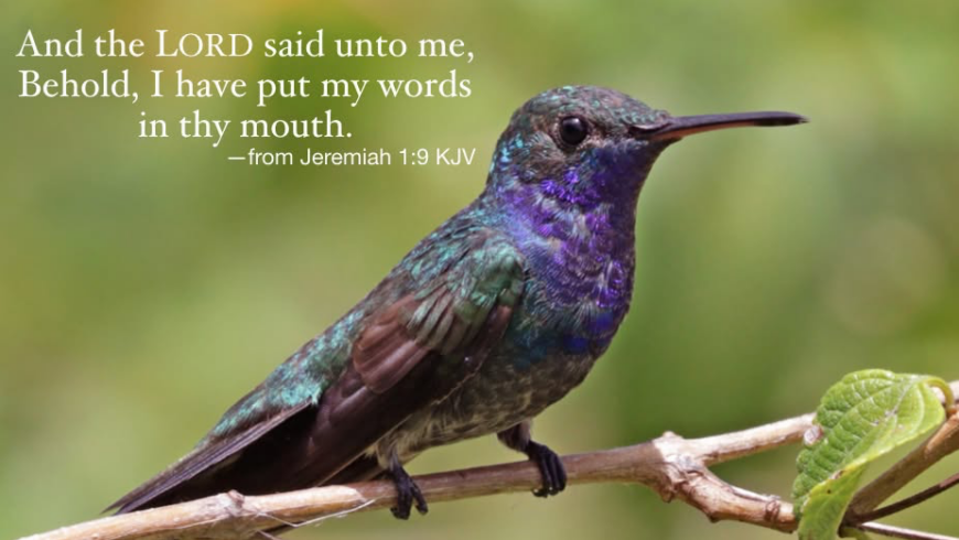 Joy and satisfaction