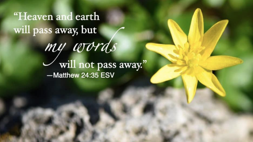 Hymn day: “I Am Resolved”