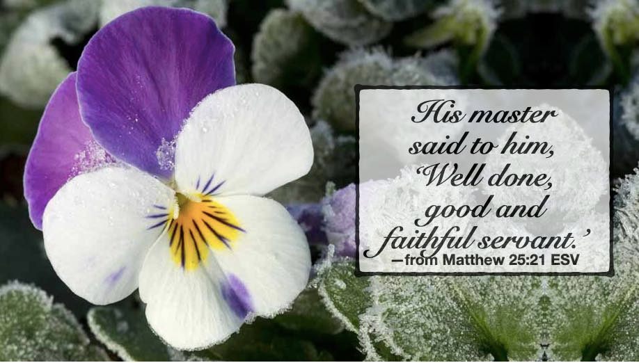 Those beautiful words