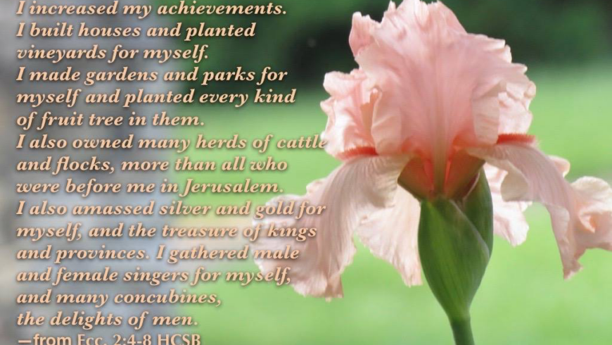 Joy comes in the giving