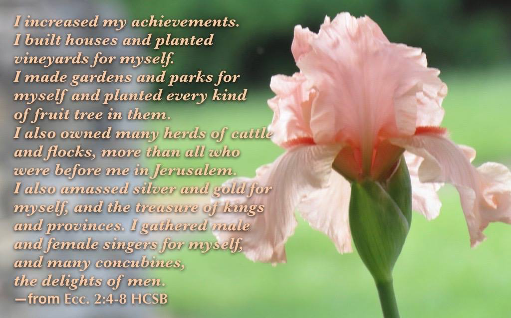 Joy comes in the giving