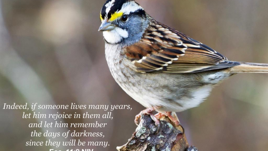 The light of eternity