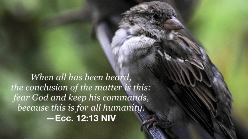 A life of joy and purpose