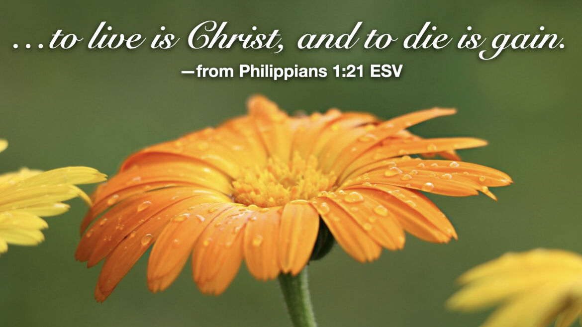 Hymn day: “More Love to Thee, O Christ”