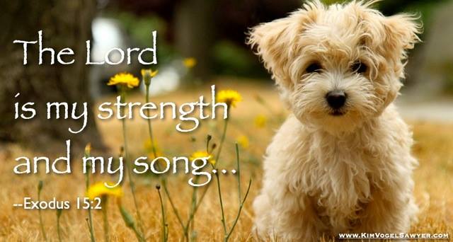 My strength and song