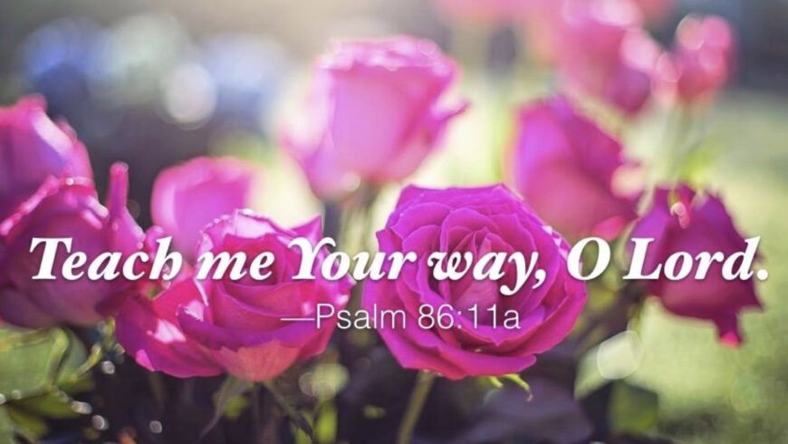 Hymn day: “Have Thine Own Way, Lord”