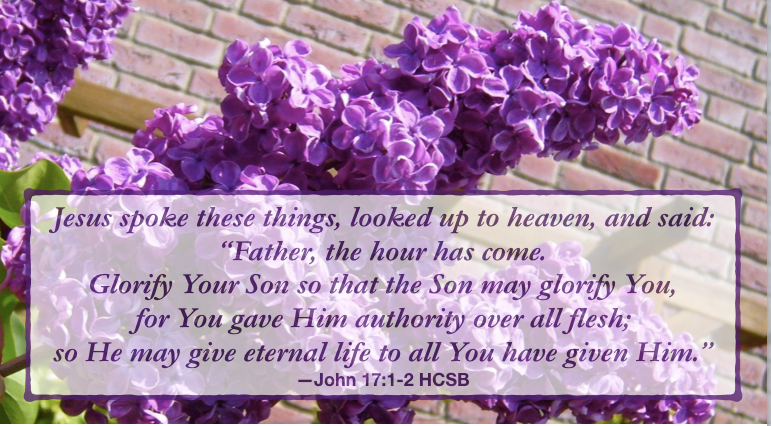 The love of Jesus