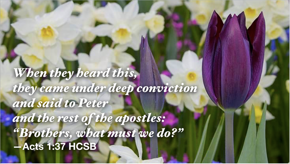 Hymn day: “Since Jesus Came Into My Heart”