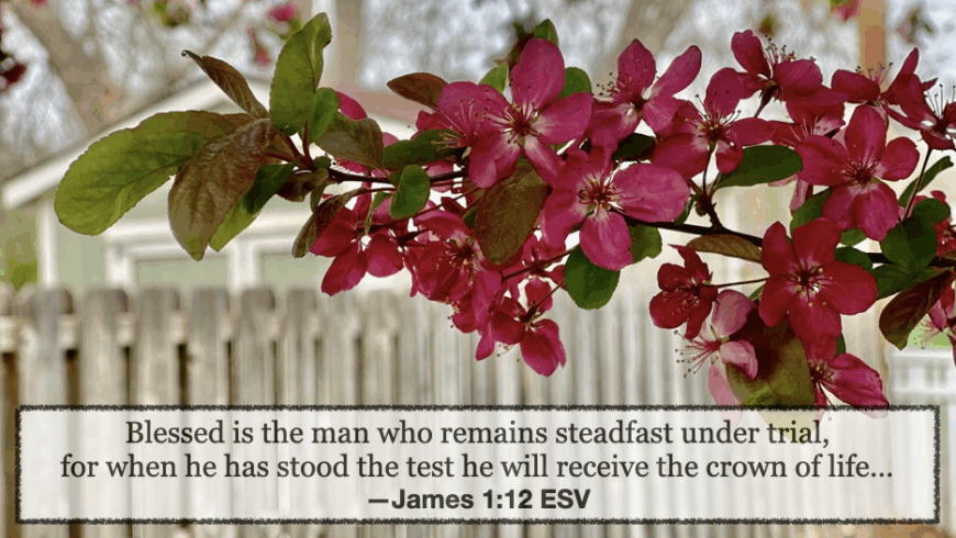 Remaining steadfast