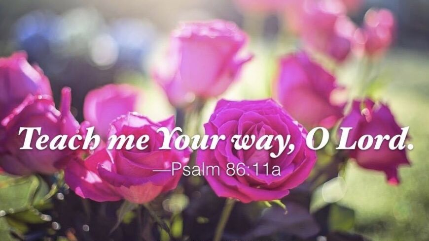 Hymn day: “Have Thine Own Way, Lord”