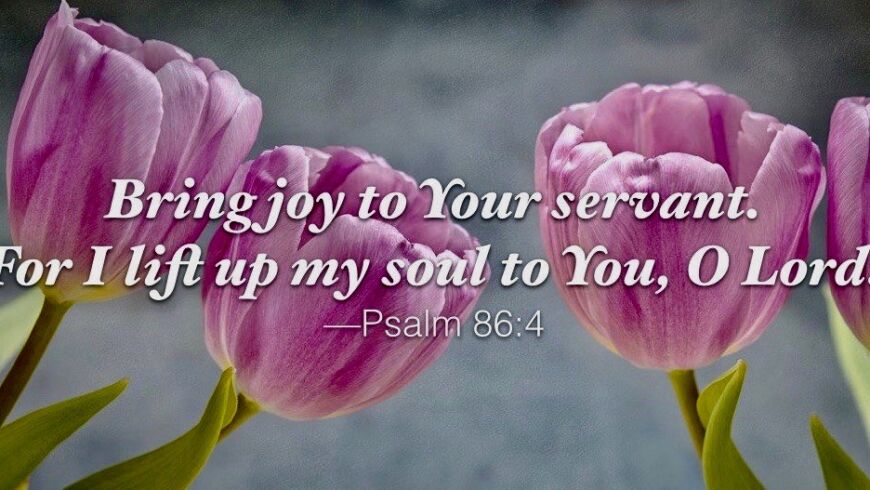 The greatest source of joy