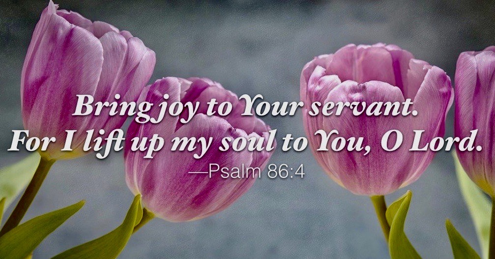 The greatest source of joy