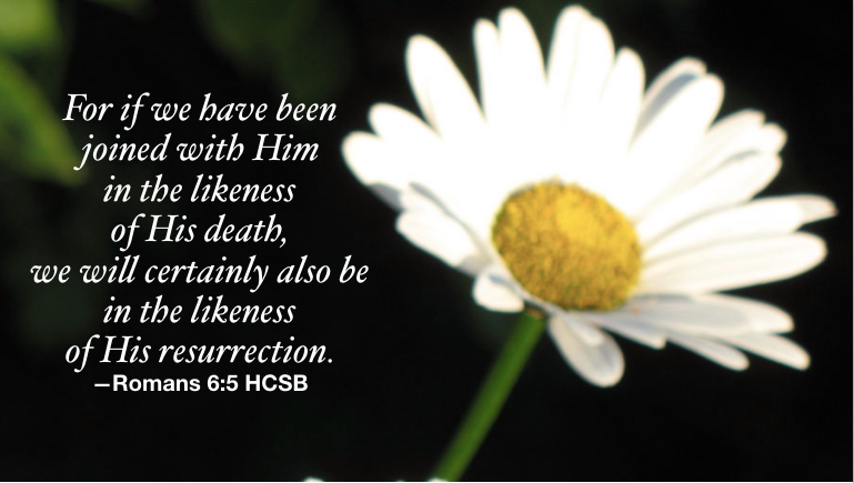 Hymn day: “Heaven Came Down”