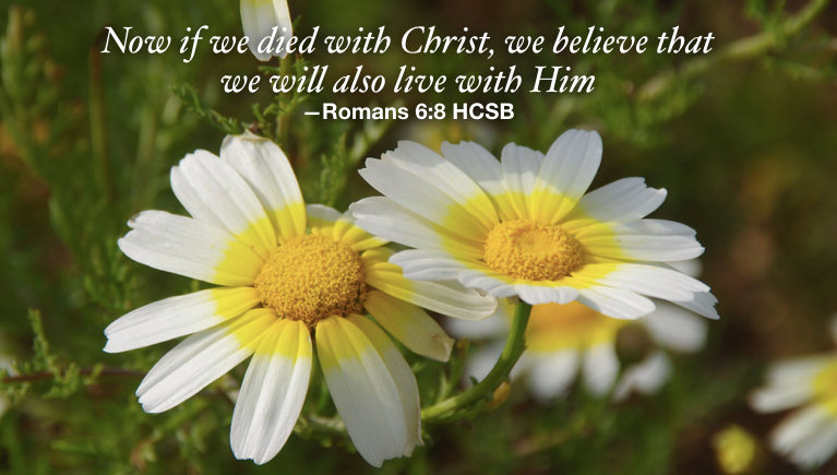 Pointing others to Him