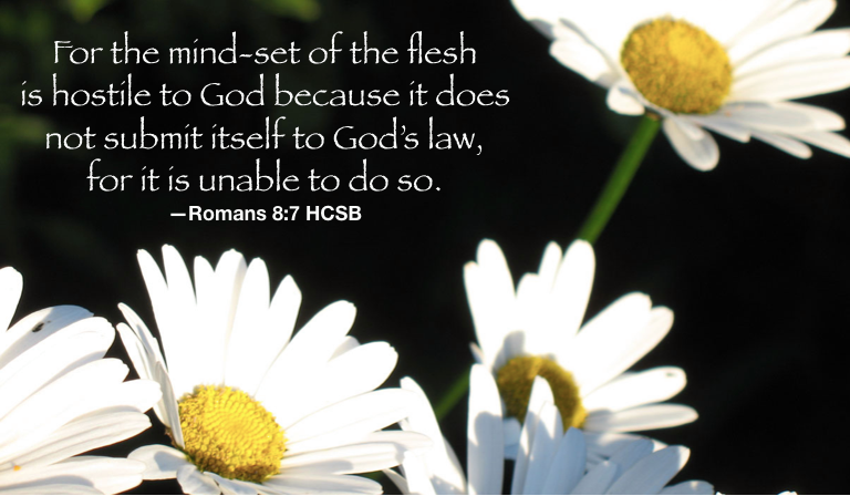 Reflecting our “family”