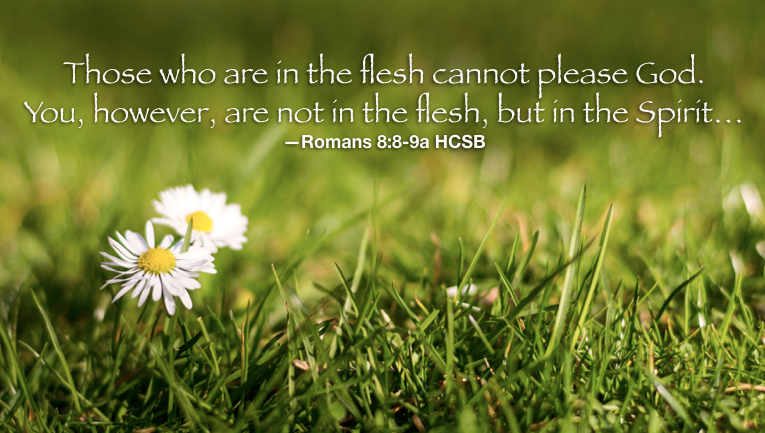 Hymn day: “New Life in Christ”