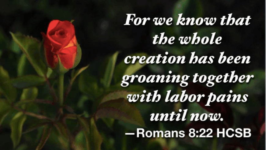 Hymn day: “We Have Heard the Joyful Sound”