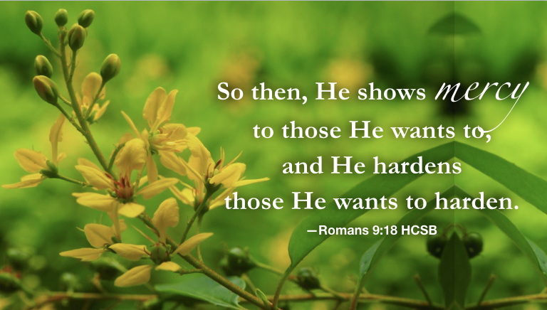 Experience His loving mercy