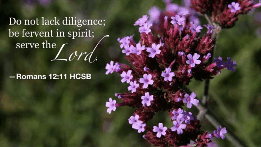 Hymn day: “Serve the Lord With Gladness”