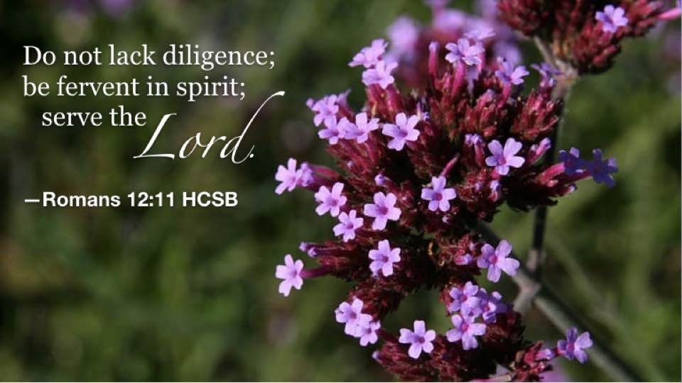 Hymn day: “Serve the Lord With Gladness”