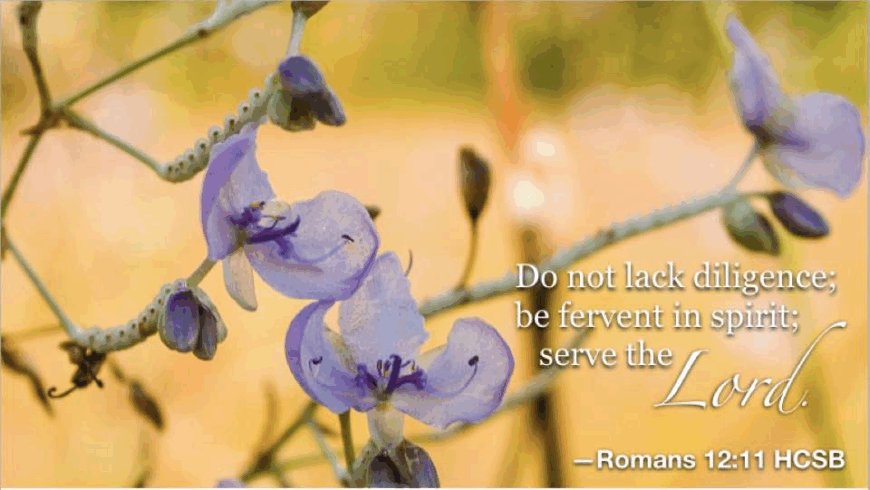 Do it heartily for the Lord