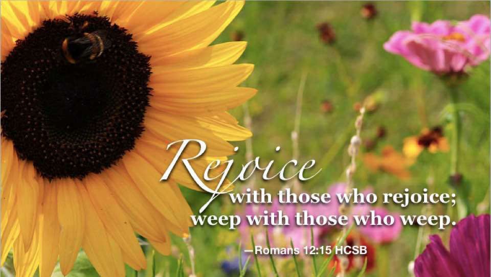 Responding with love