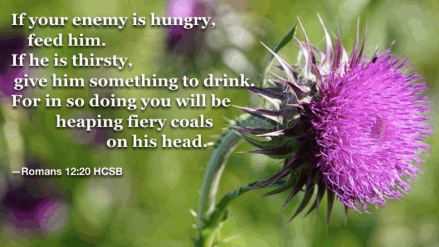 Letting others see Jesus