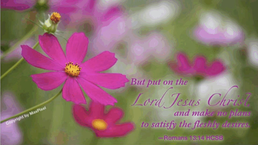 Examples of faithfulness