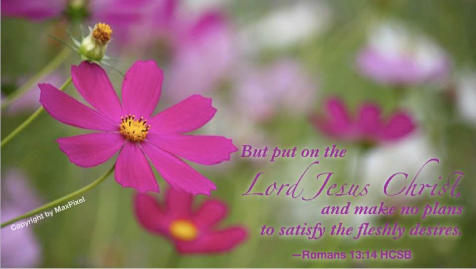 Examples of faithfulness