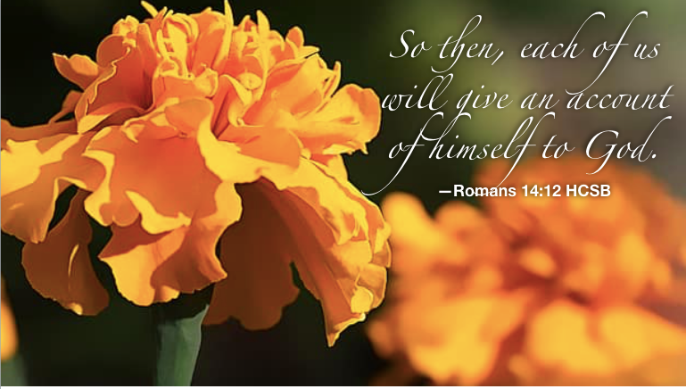 Living without regrets