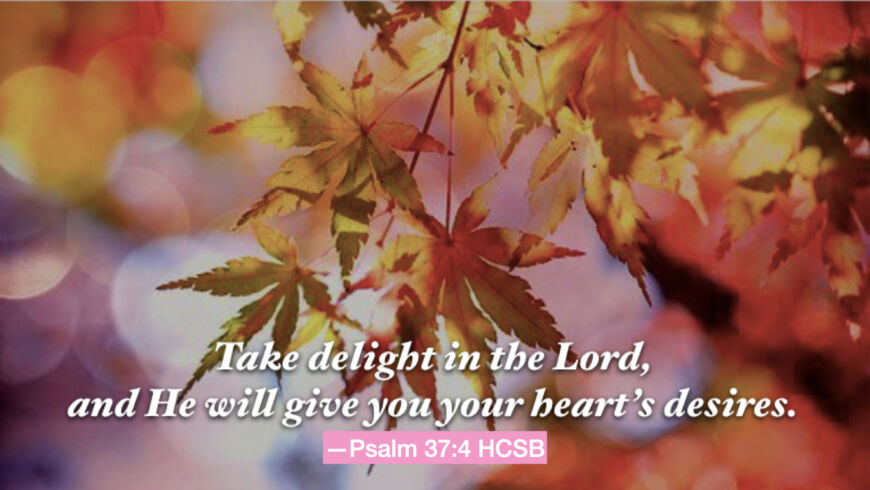 Hymn day: “My Jesus, I Love Thee”