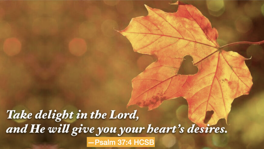 Our heart’s desires