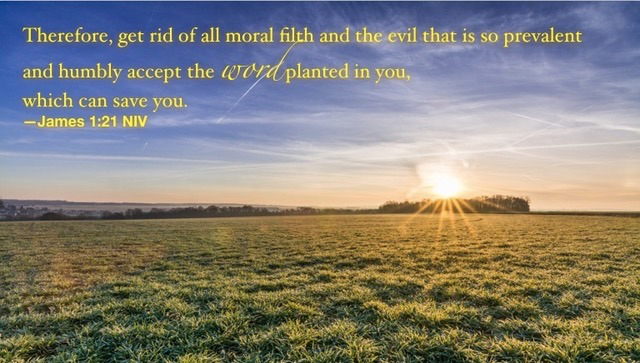 The way to everlasting life